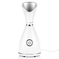 Mini Facial Steamer